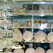 Shop Dinetz Toronto Store - dishes plates and bowls at amazing prices